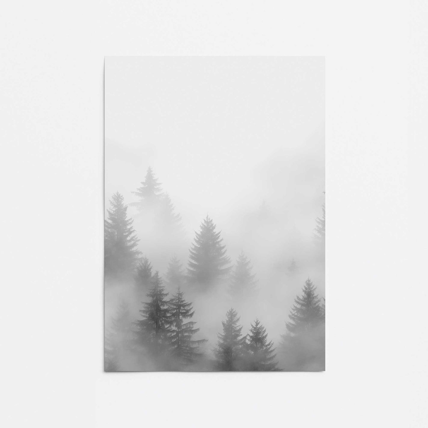 Foggy Echoes III Promotional Rolled Print