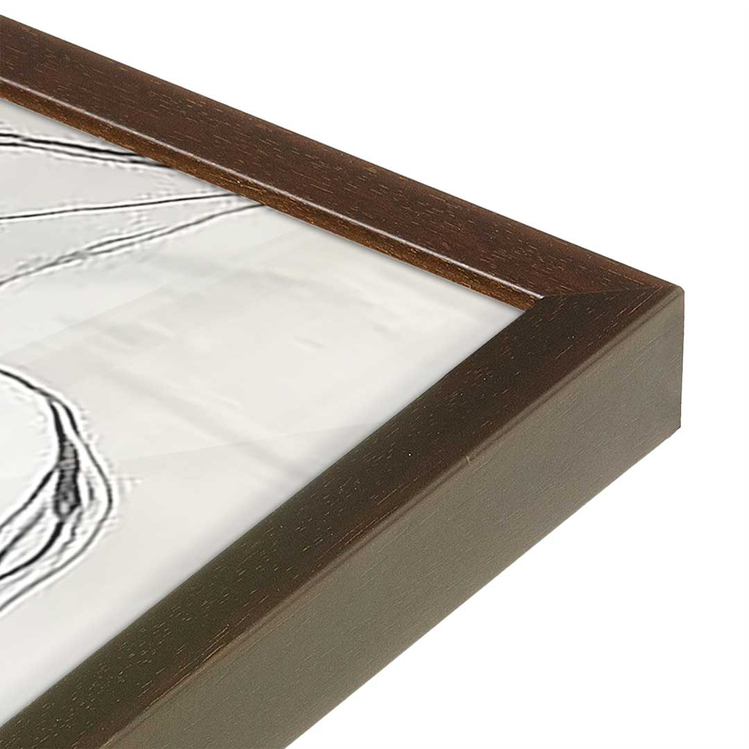 [Color:Belvinder Brown], Picture of art in a Belvinder Brown frame at an angle