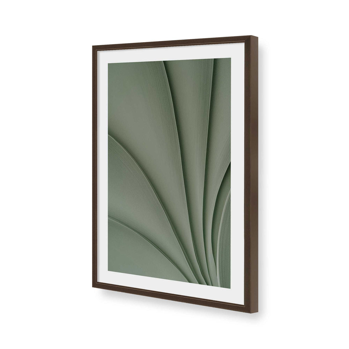 [Color:Belvinder Brown], Picture of art in a Belvinder Brown frame of the corner