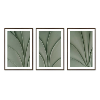 [Color:Belvinder Brown], Picture of art in a Belvinder Brown frame