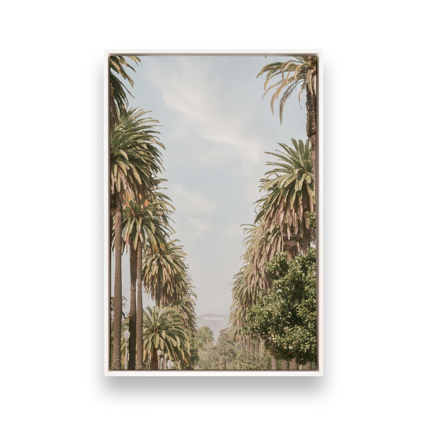 [Color:Opaque White], Picture of art in a White frame