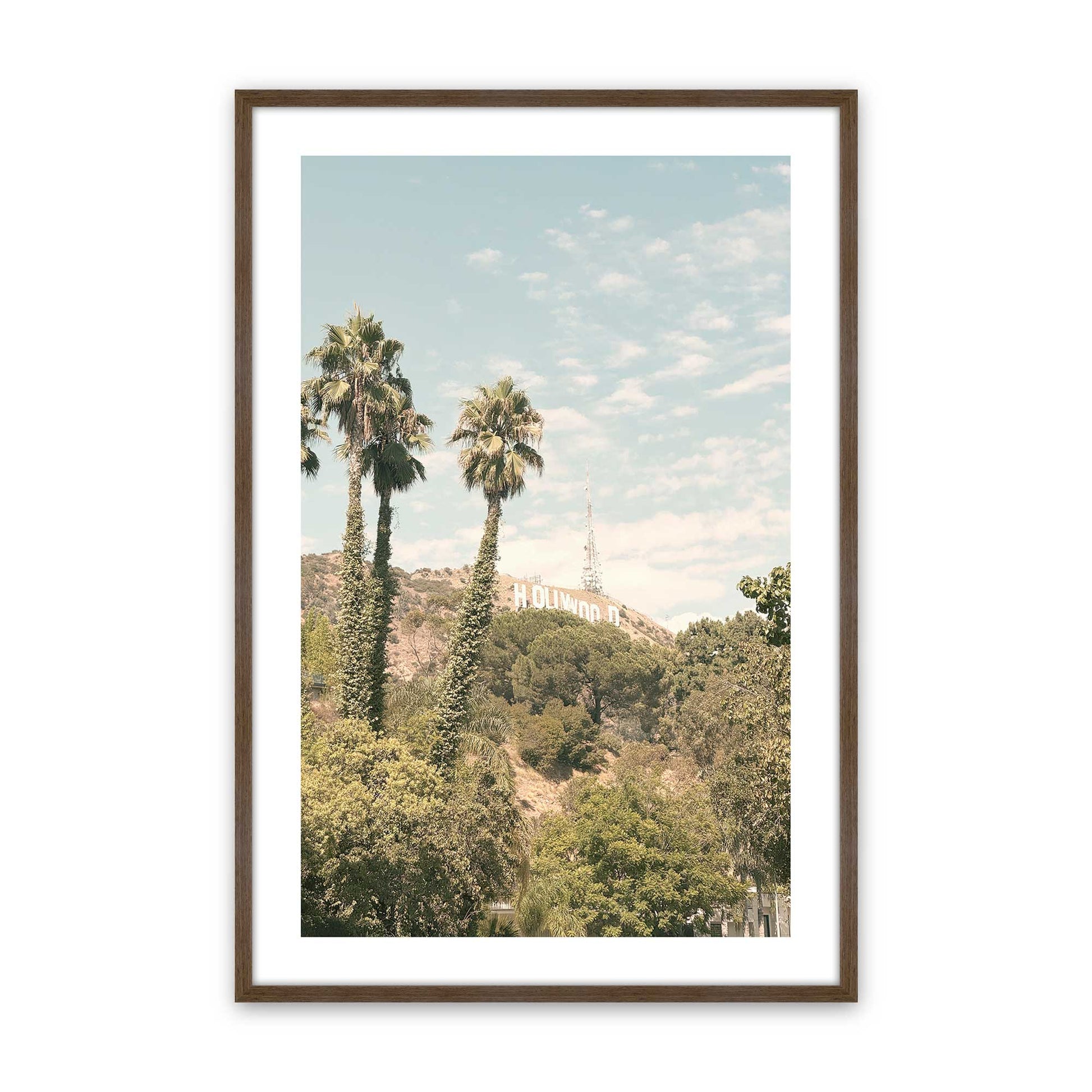 [Color:Walnut], Picture of art in a Walnut frame