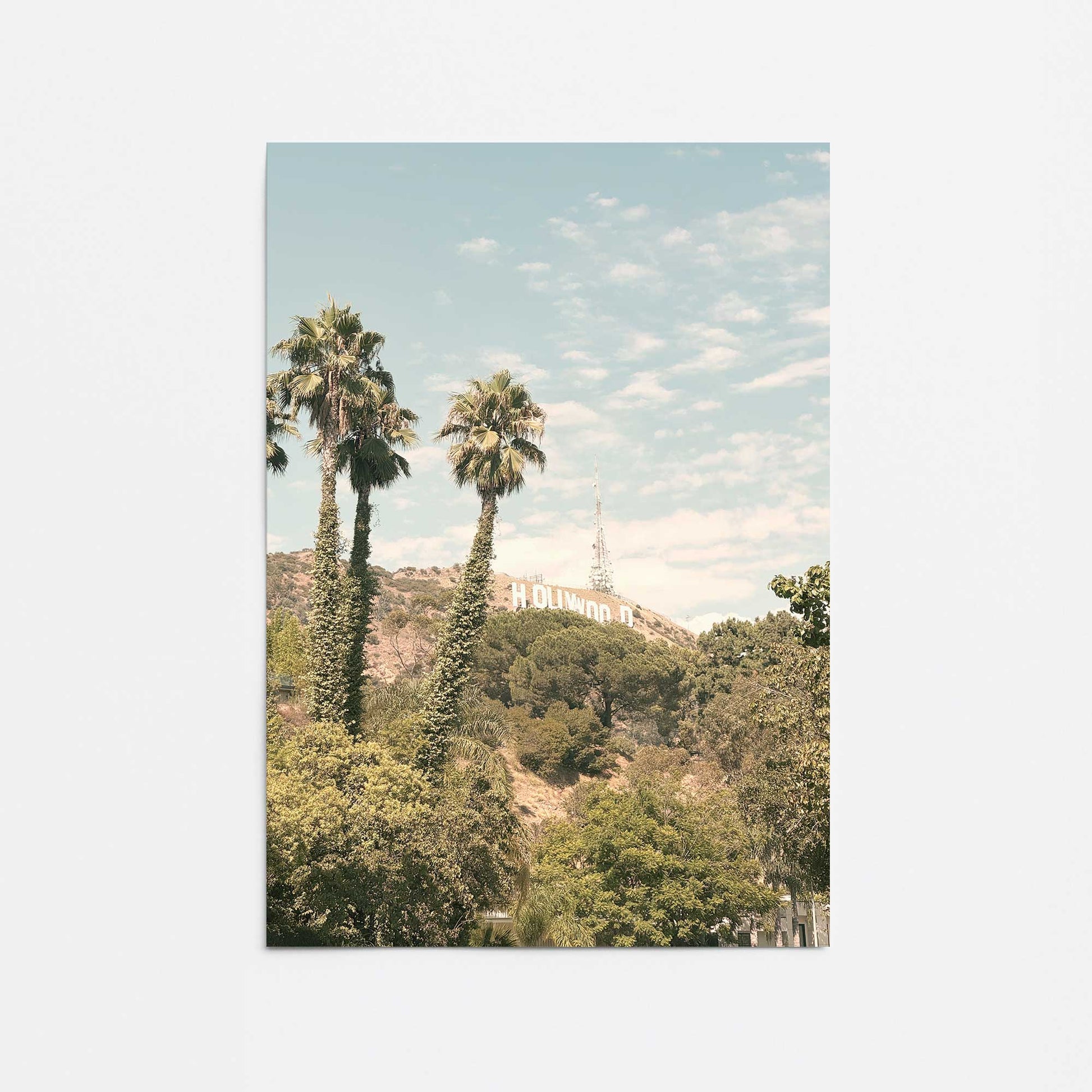 [Color:Rolled Print], Picture of close up of art