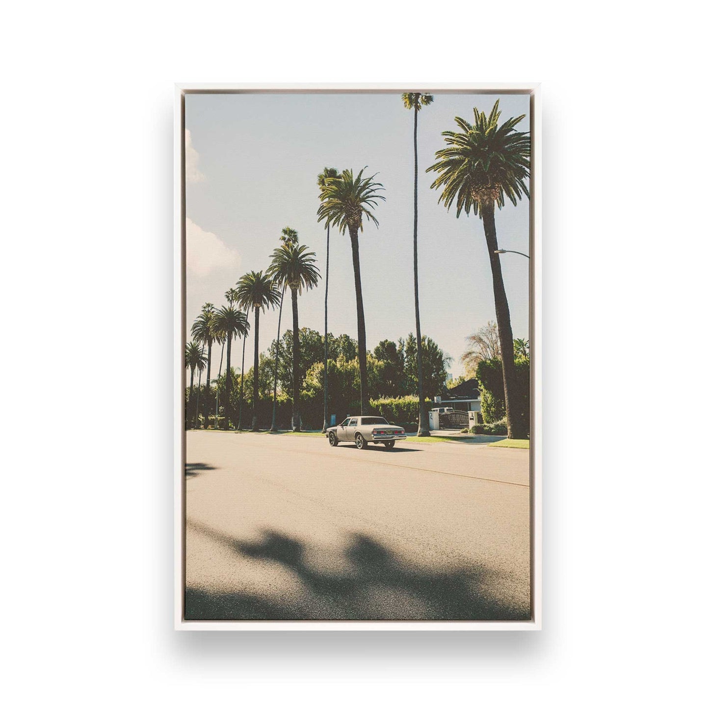 [Color:Opaque White], Picture of art in a White frame
