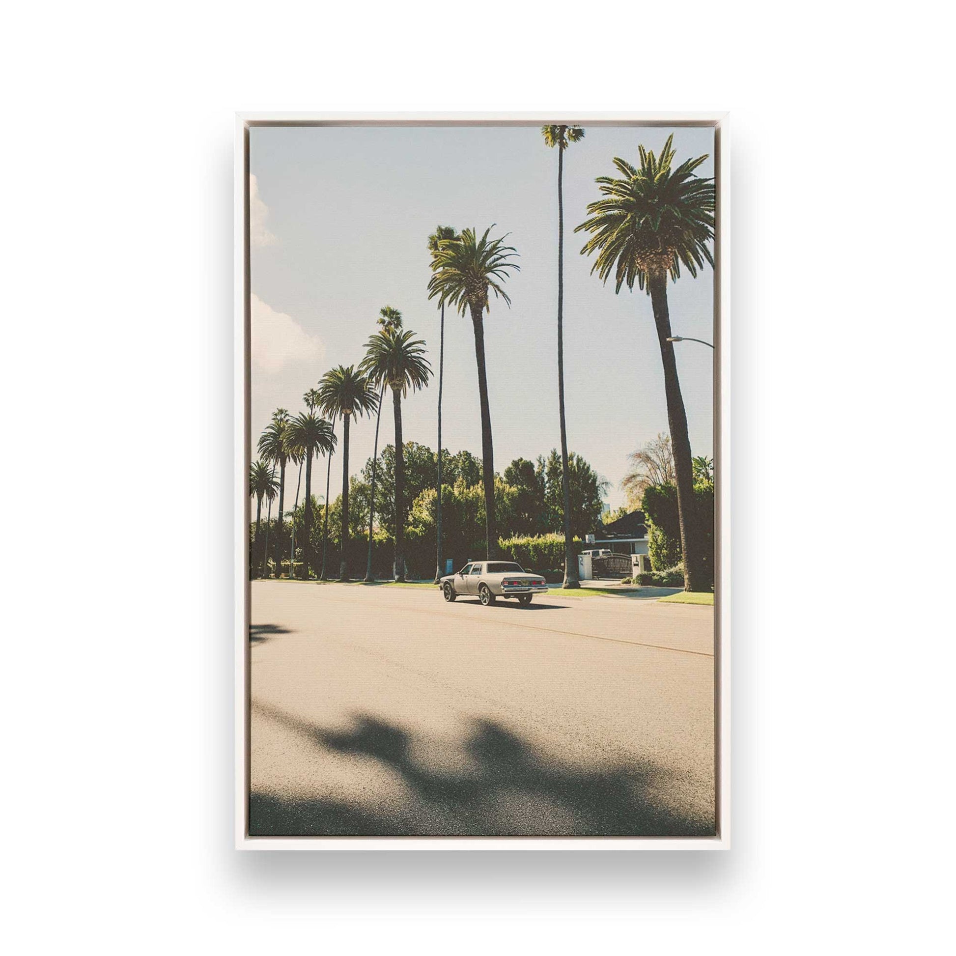 [Color:Opaque White], Picture of art in a White frame