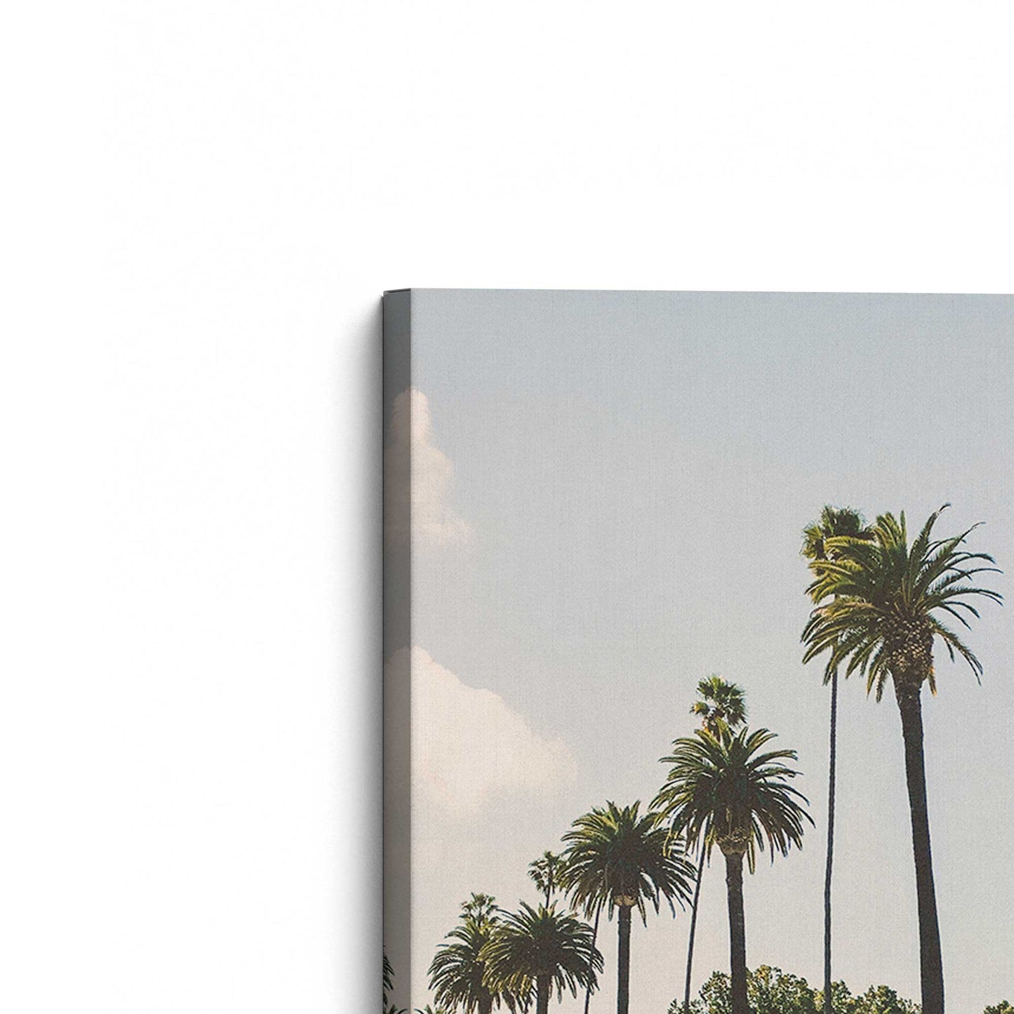 [Color:Stretched Canvas], Picture of the corner of the art