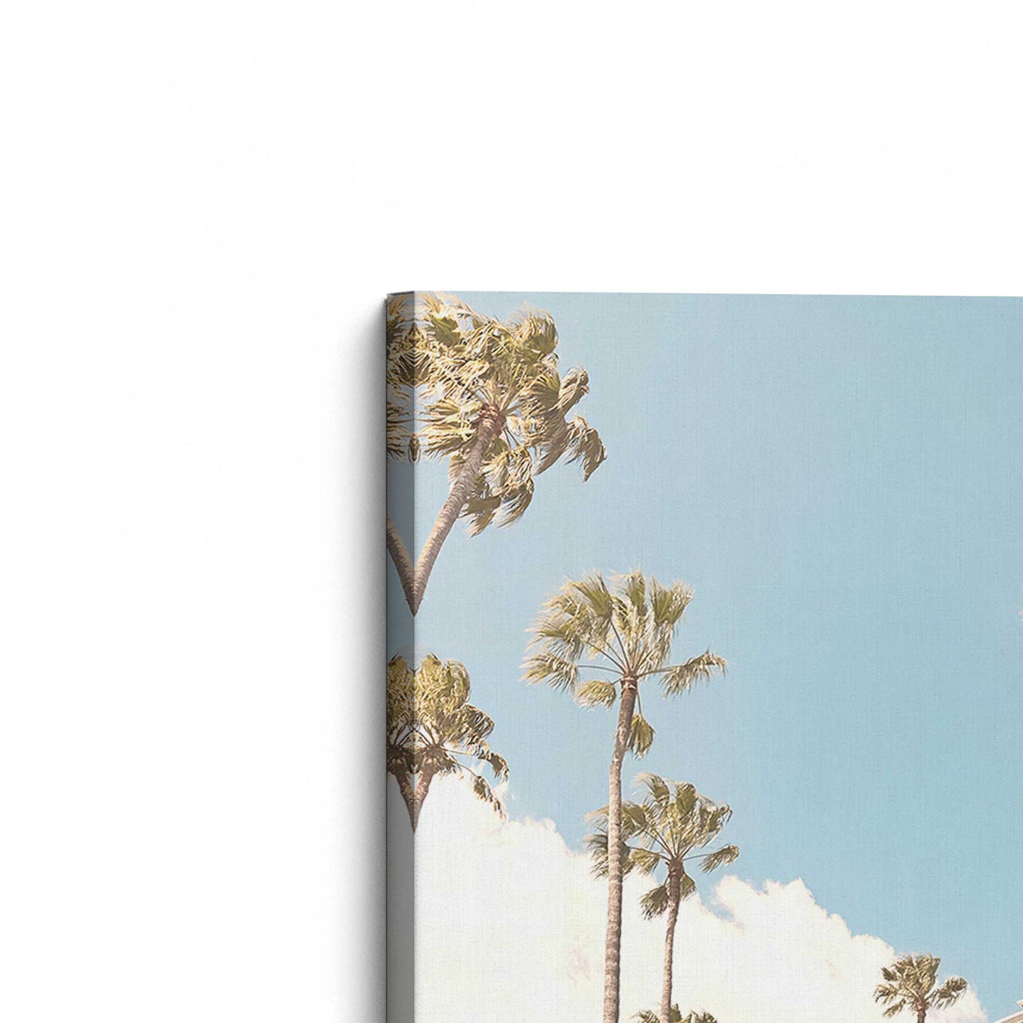 [Color:Stretched Canvas], Picture of the corner of the art