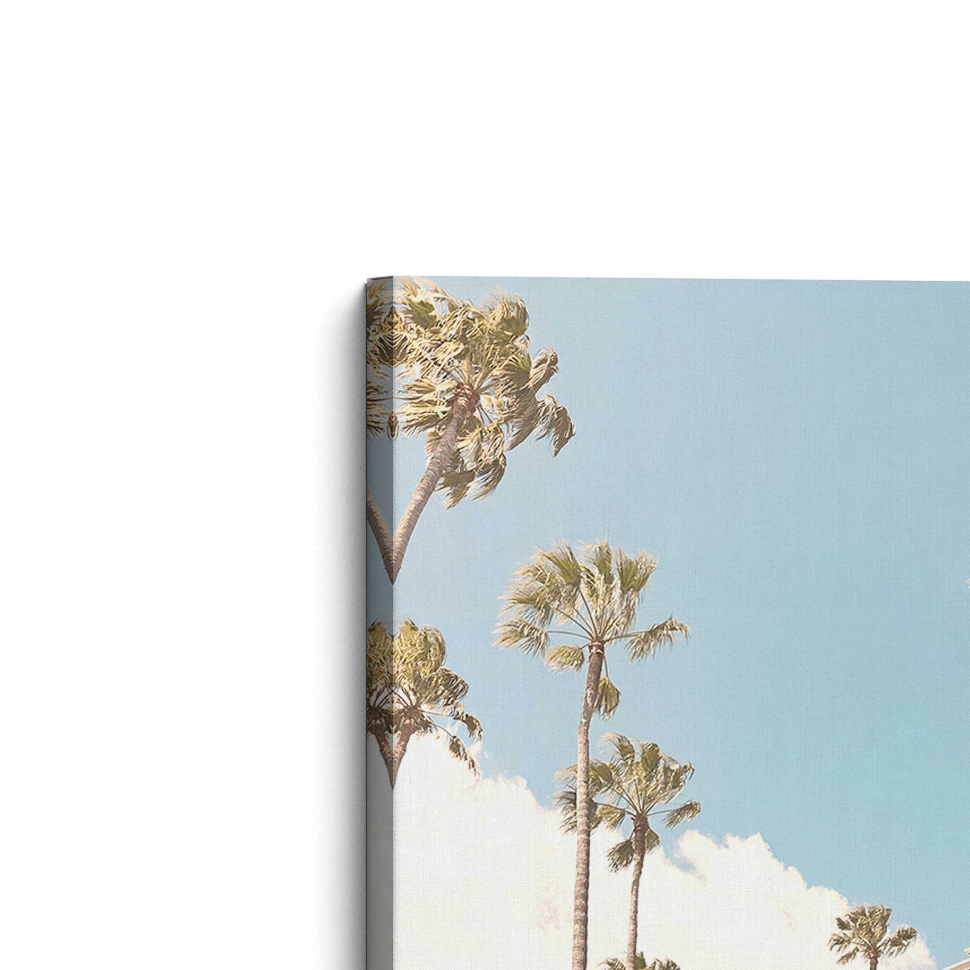 [Color:Stretched Canvas], Picture of the corner of the art