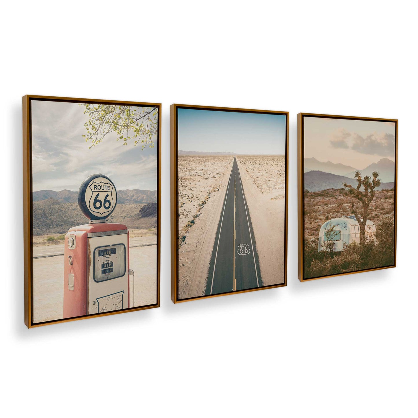 [Color:Polished Gold], Picture of art in a Polished Gold frame at an angle