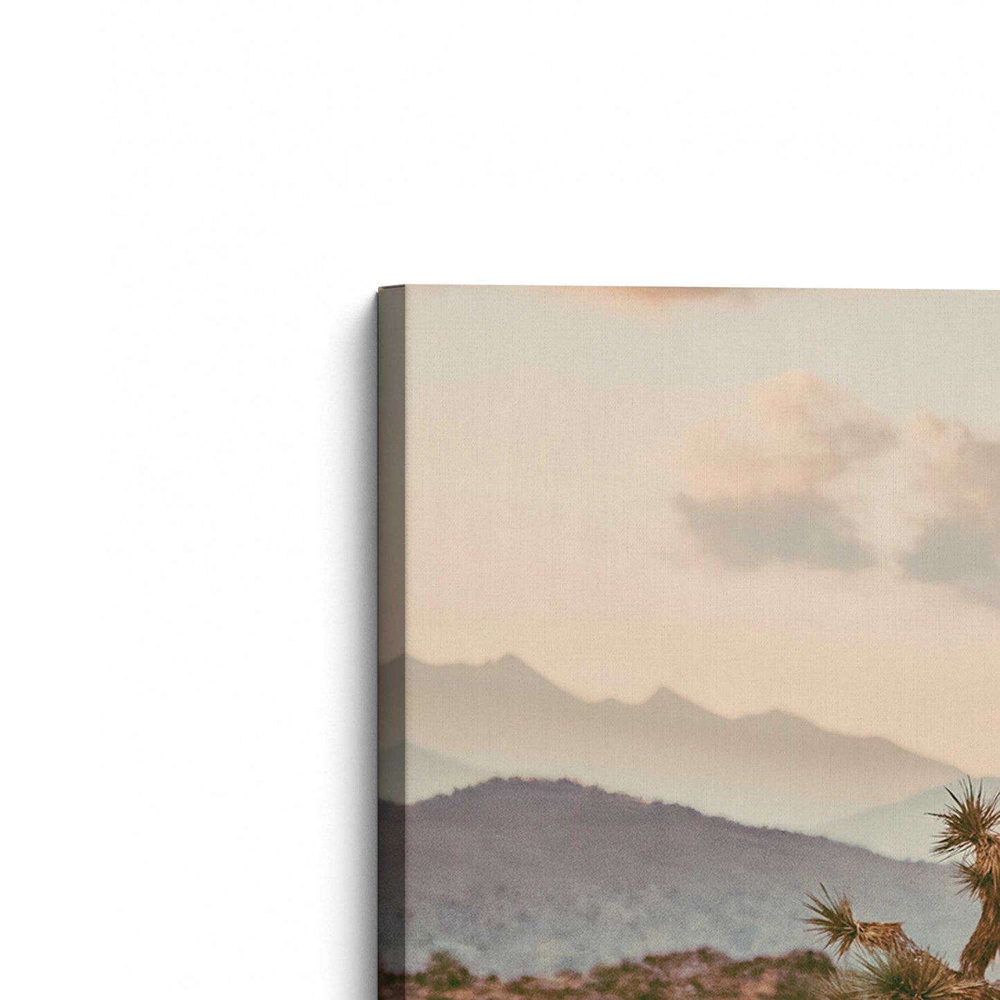 [Color:Stretched Canvas], Picture of the corner of the art