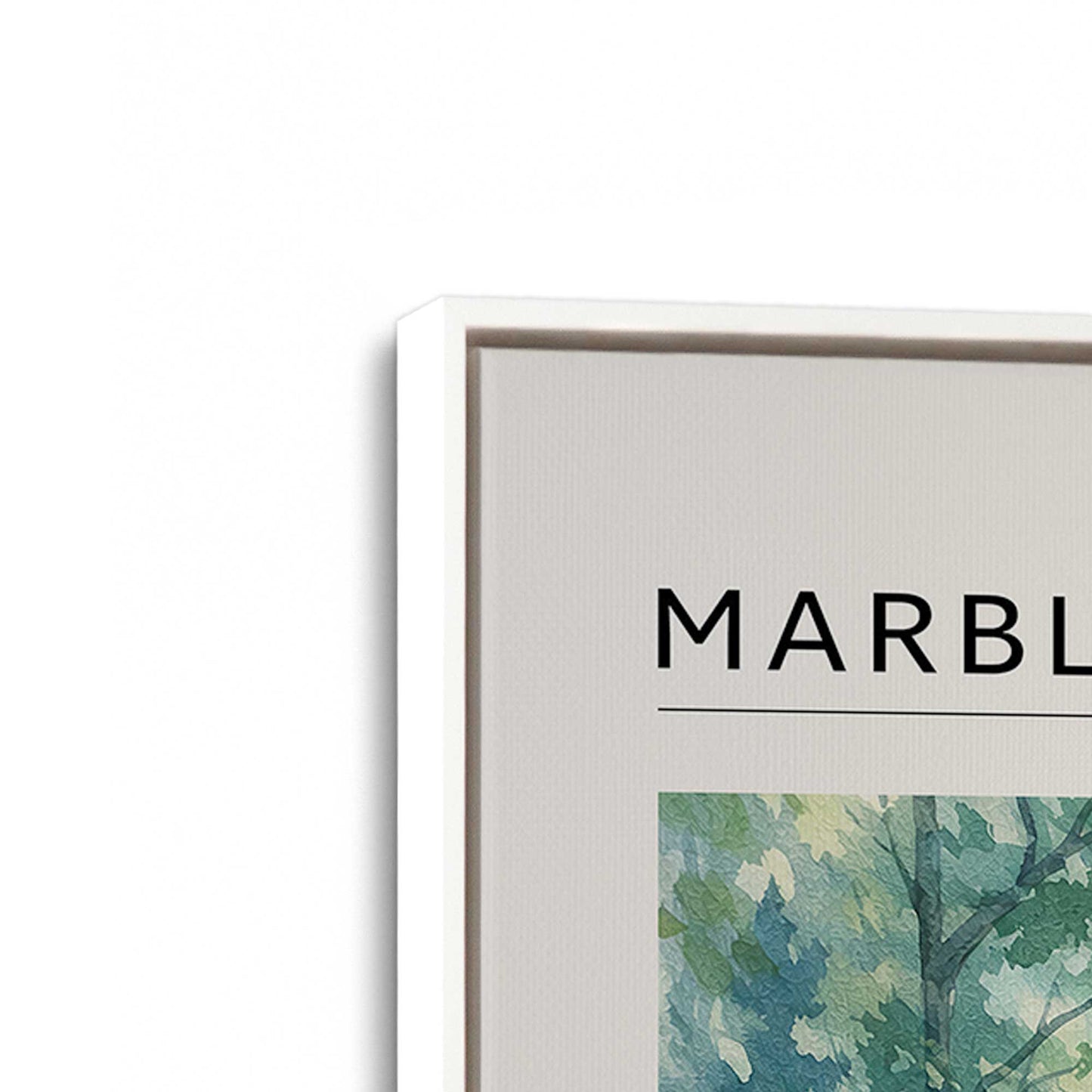 [Color:Opaque White], Picture of art in a White frame at an angle