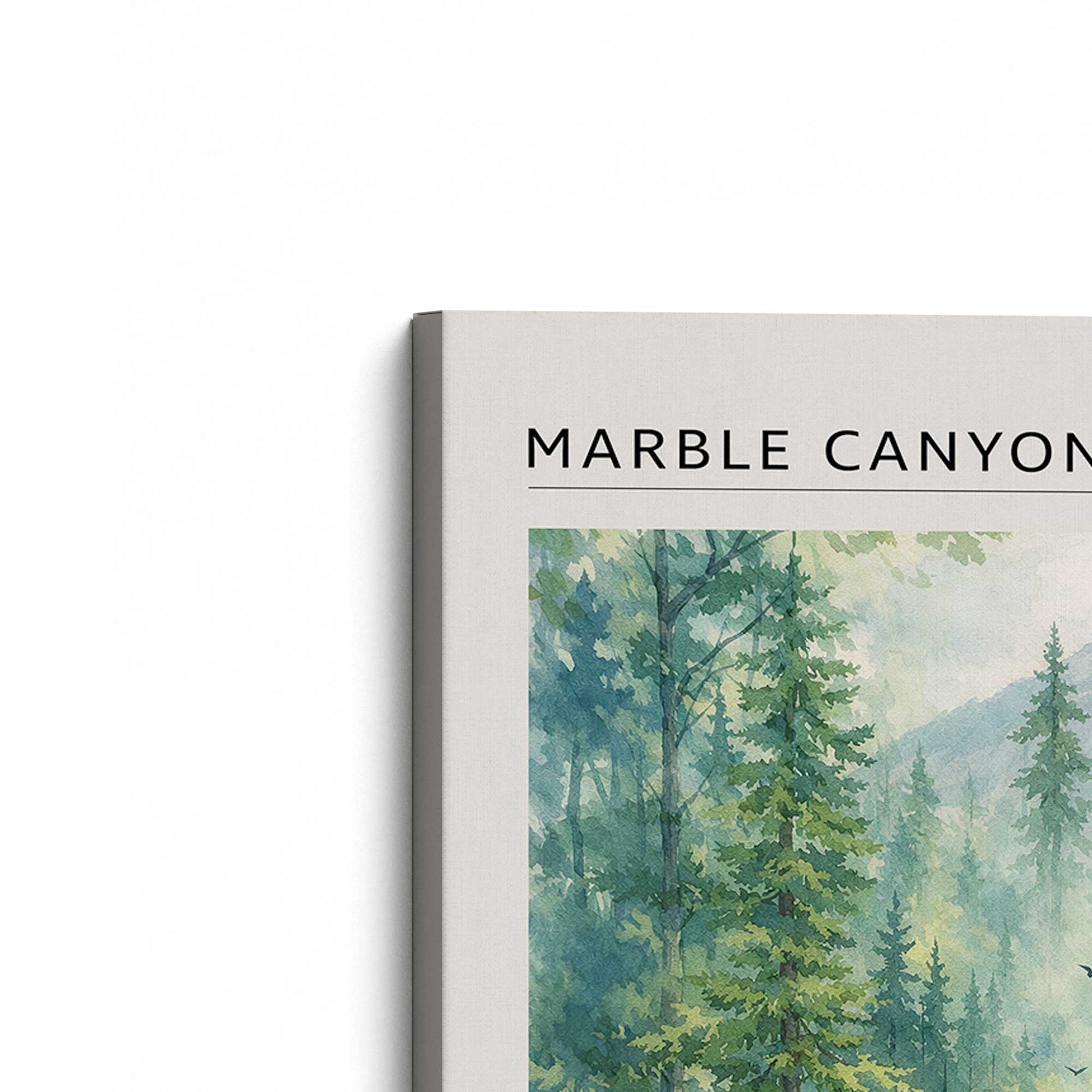 [Color:Stretched Canvas], Picture of the corner of the art