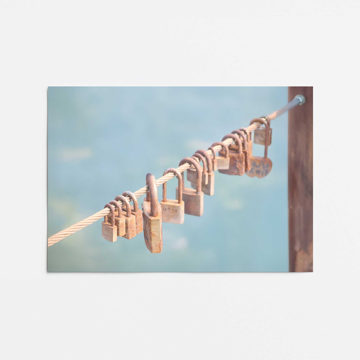 [Color:Rolled Print], Picture of close up of art