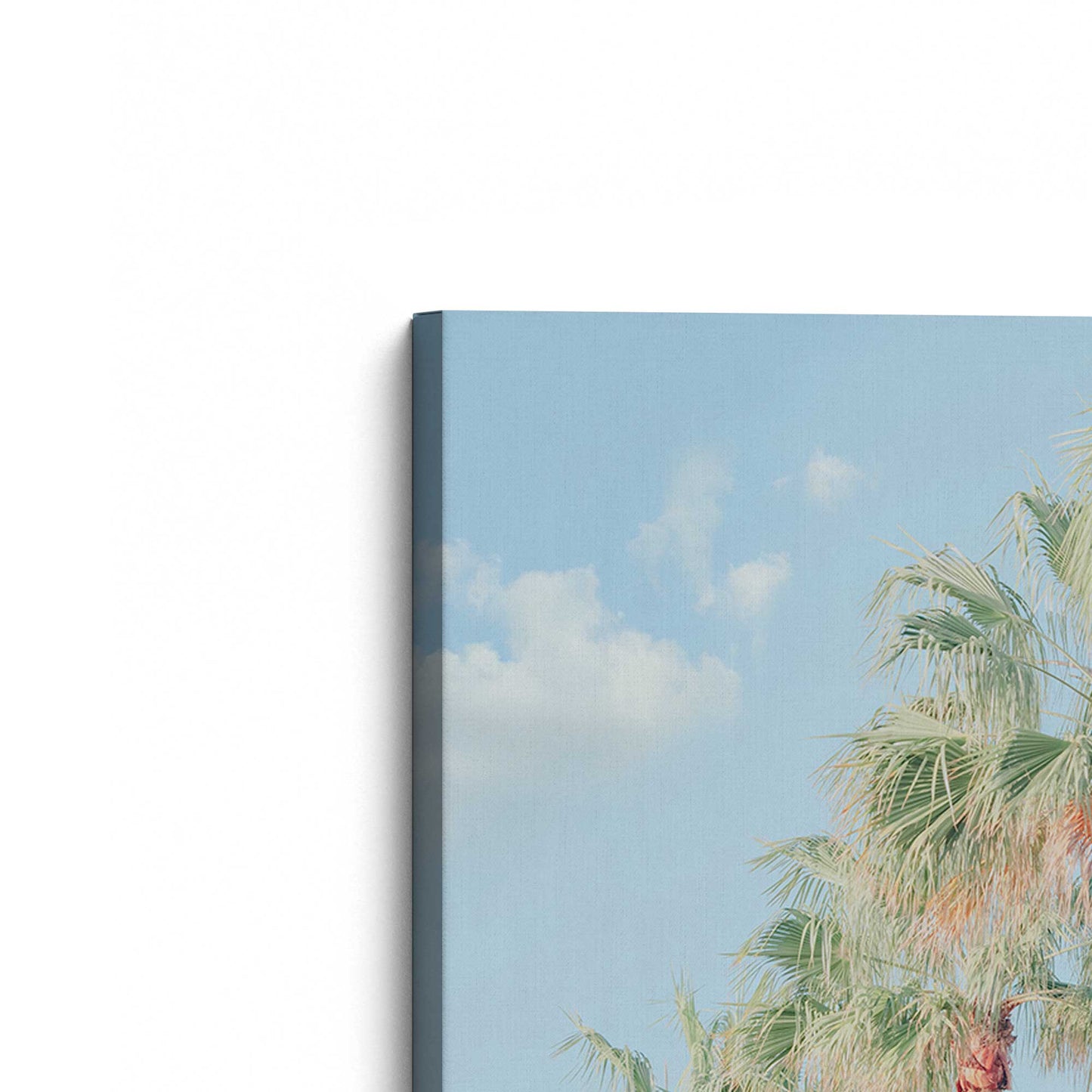 [Color:Stretched Canvas], Picture of the corner of the art