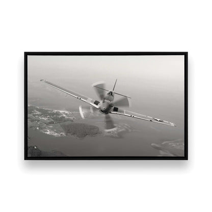 [SPECIAL],[Color:Satin Black],