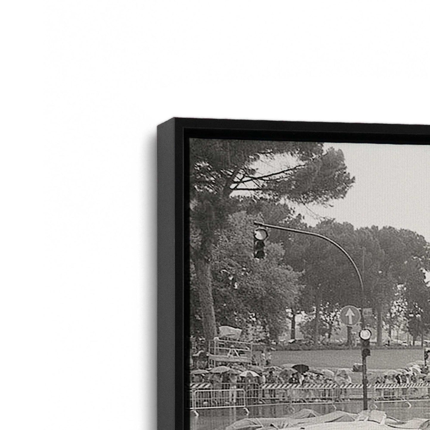 [Color:Satin Black], Picture of art in a Satin Black frame at an angle