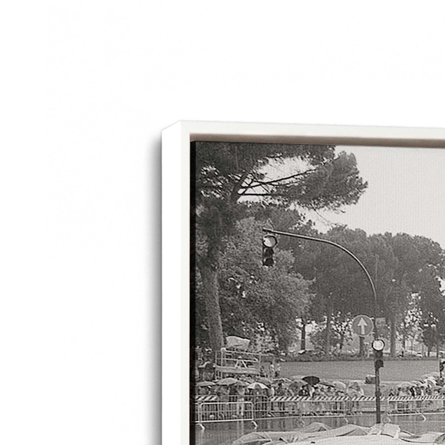 [Color:Opaque White], Picture of art in a White frame at an angle