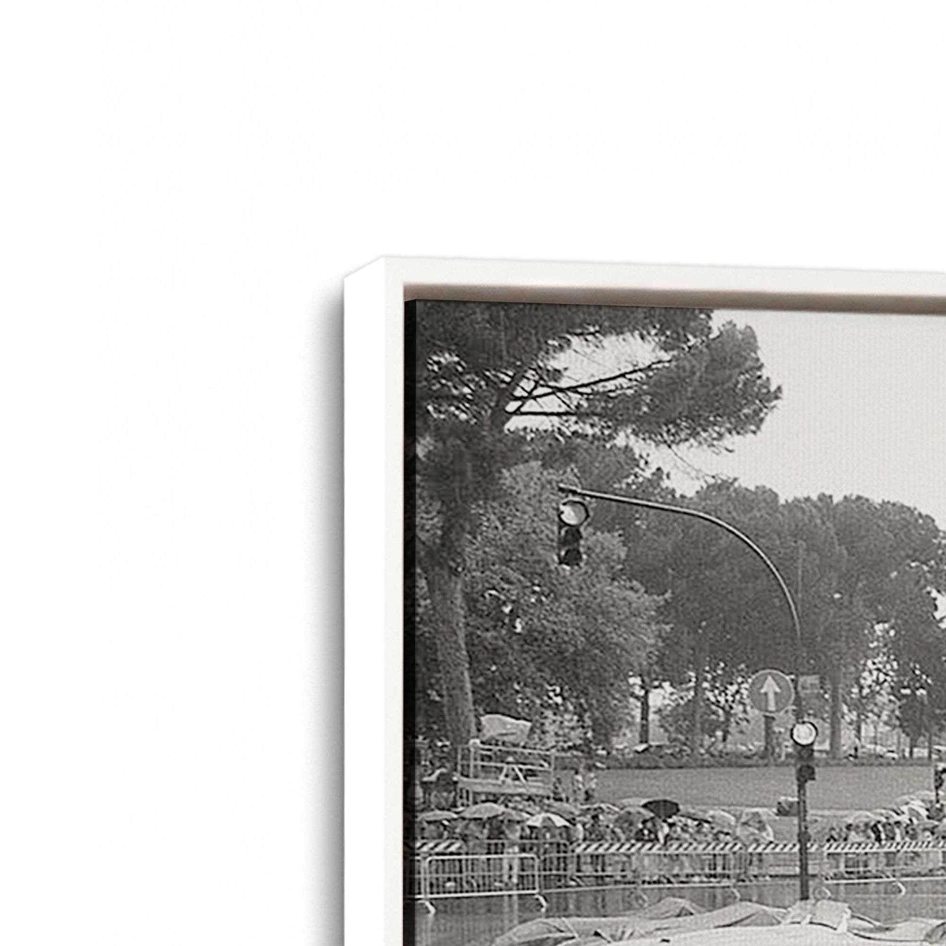 [Color:Opaque White], Picture of art in a White frame at an angle