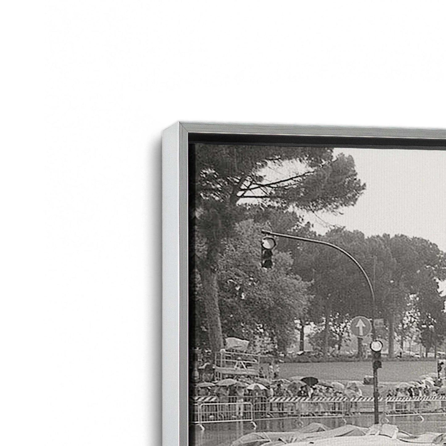 [Color:Polished Chrome], Picture of art in a Polished Chrome frame at an angle