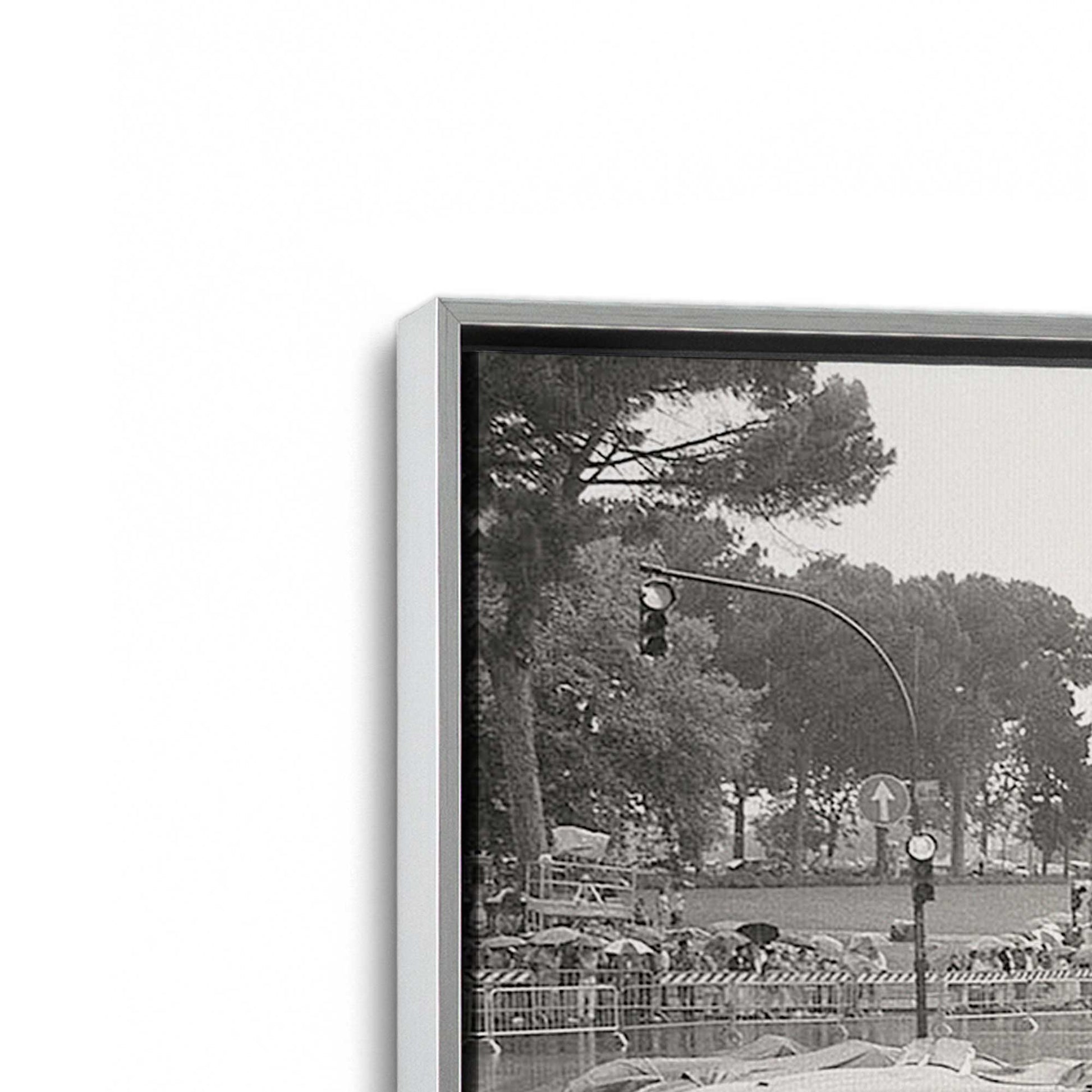 [Color:Polished Chrome], Picture of art in a Polished Chrome frame at an angle