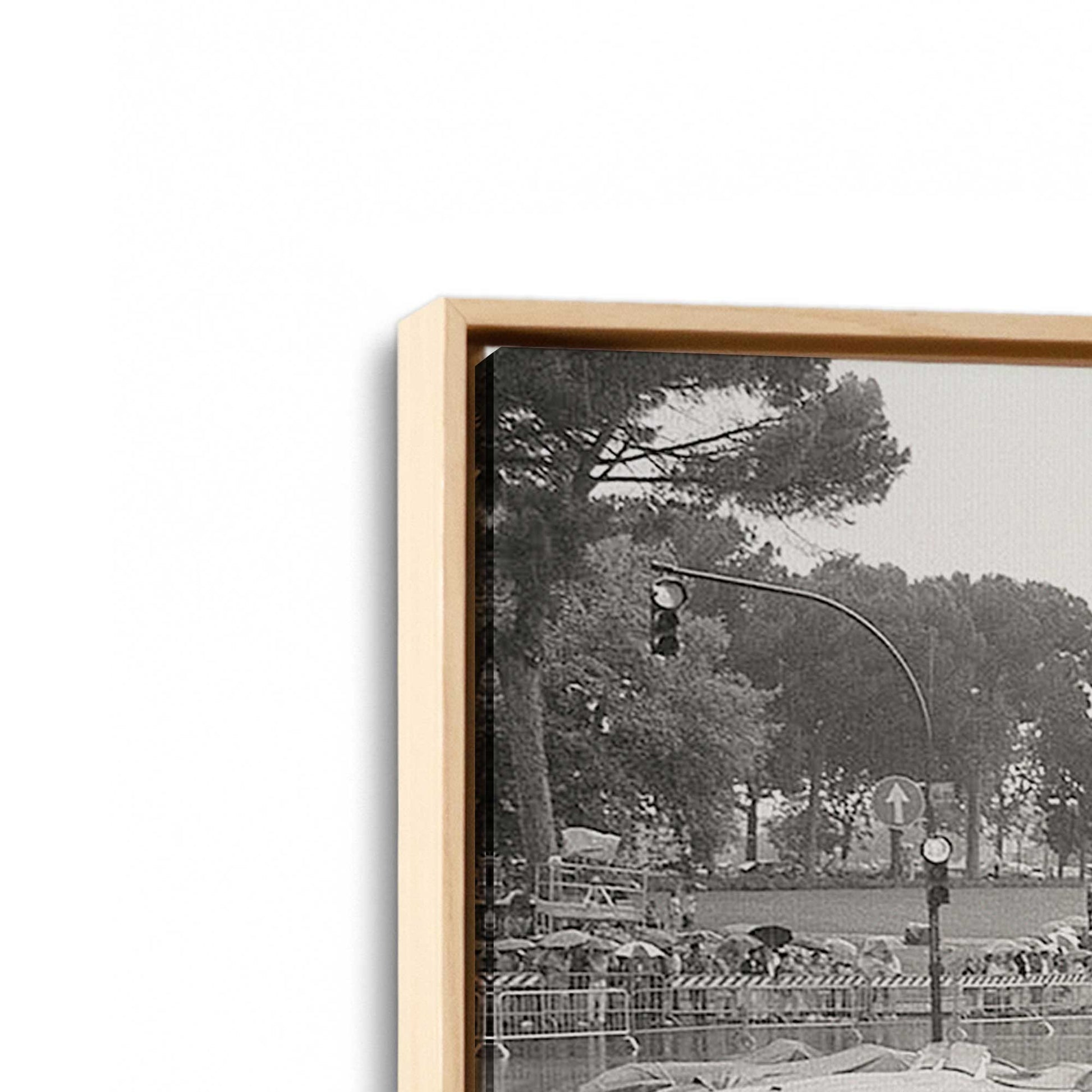 [Color:American Maple], Picture of art in a American Maple frame at an angle