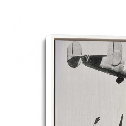 [Color:Opaque White], Picture of art in a White frame at an angle