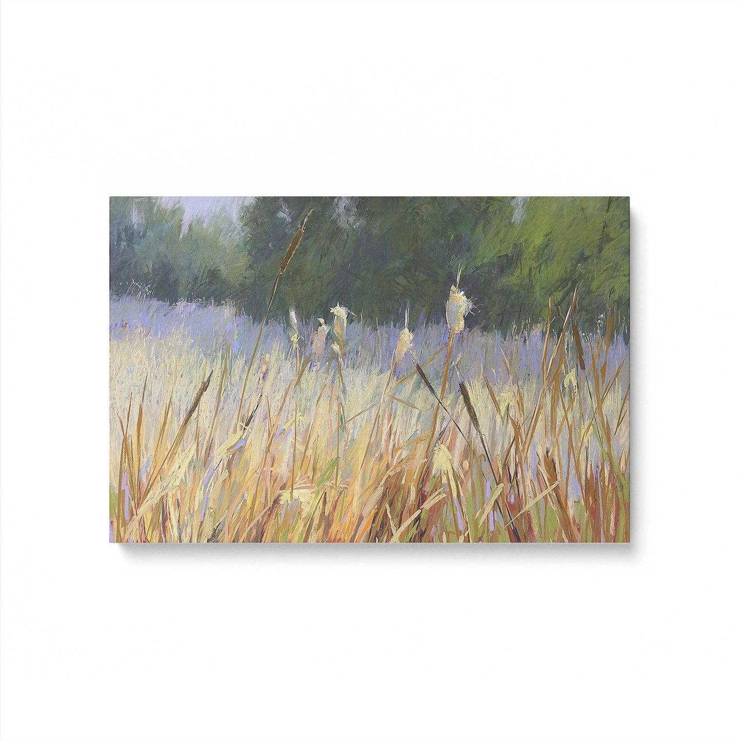 [Color:Stretched Canvas], Picture of art