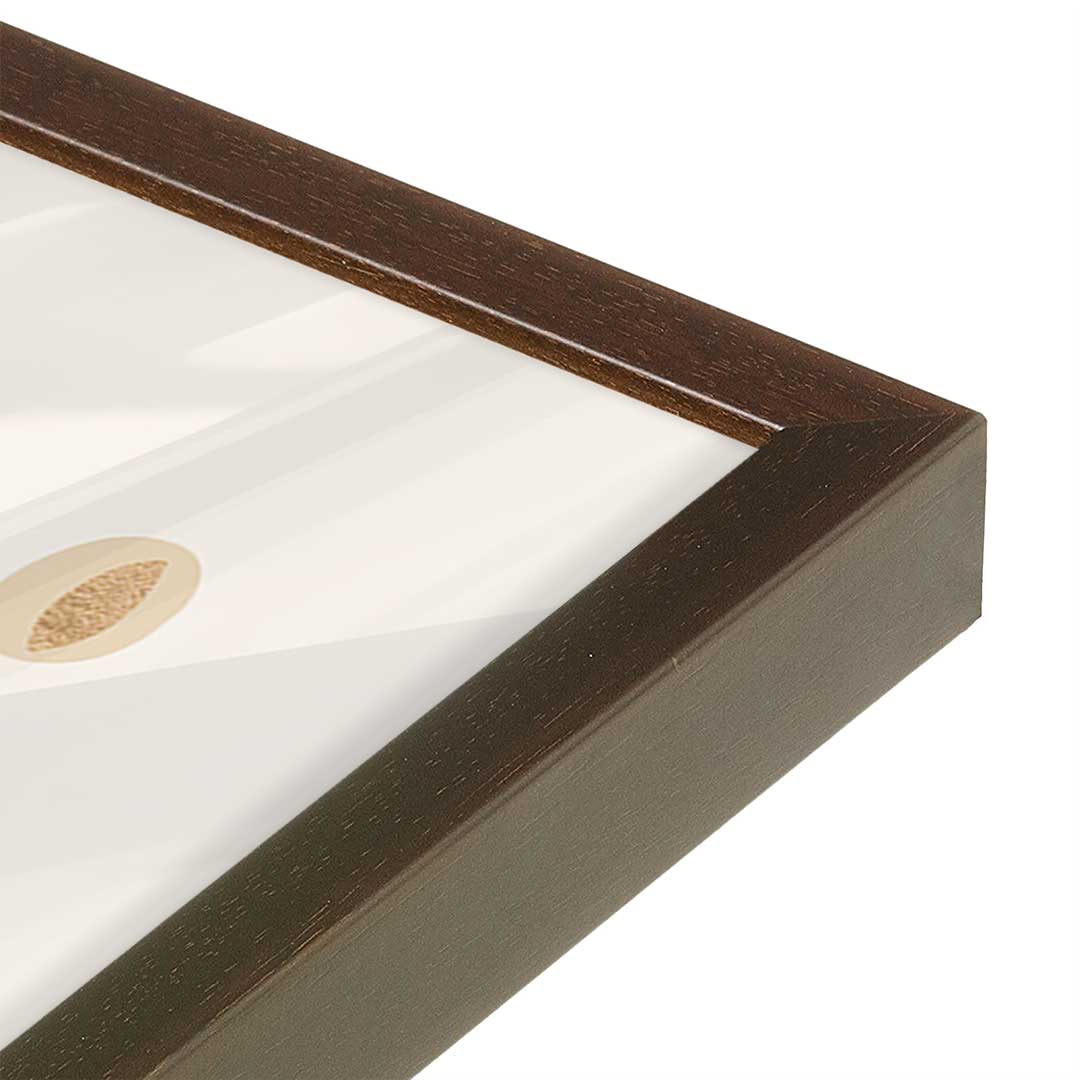 [Color:Belvinder Brown], Picture of art in a Belvinder Brown frame of the corner