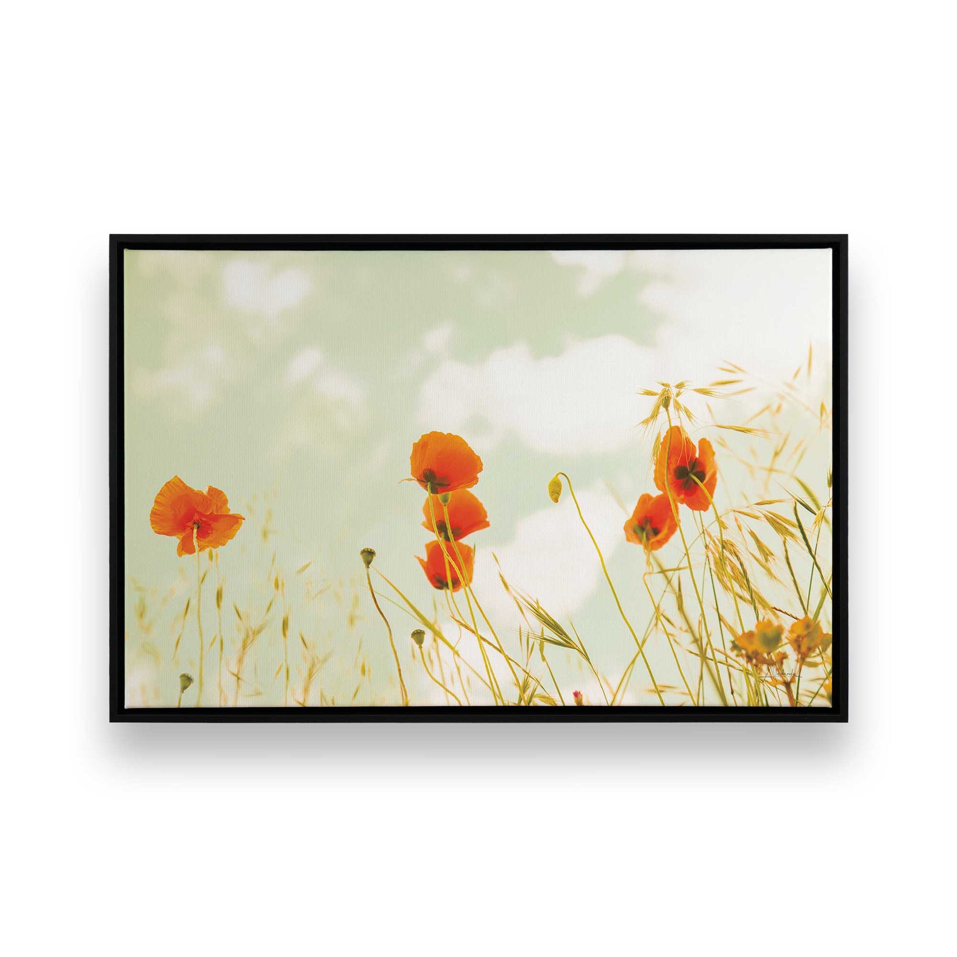[Color:Satin Black],[SPECIAL], Front image of the art