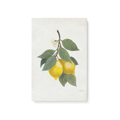 [Color:Stretched Canvas], Picture of art