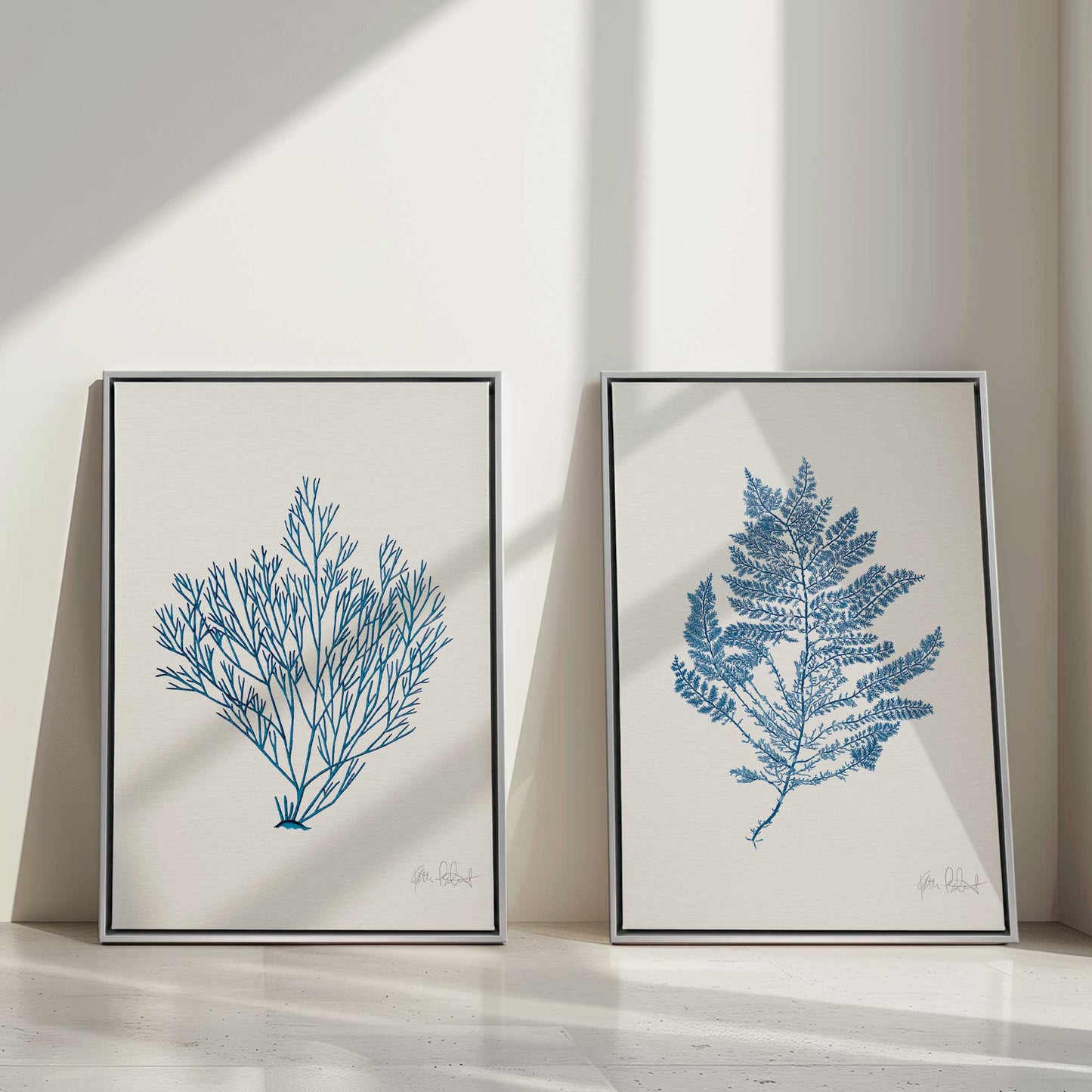 Nature's Blueprints, Set of 2 Print on Canvas