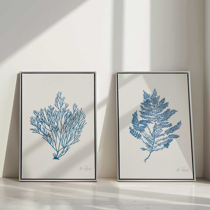 Nature's Blueprints, Set of 2 Print on Canvas