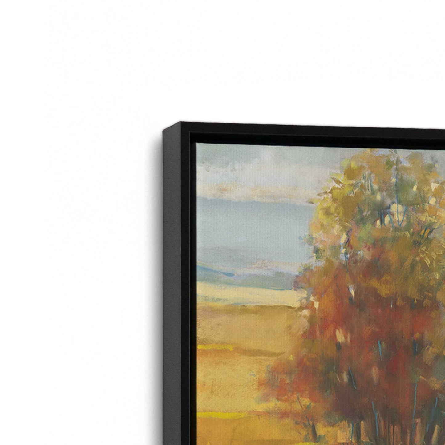 [Color:Satin Black], Picture of art in a Satin Black frame at an angle