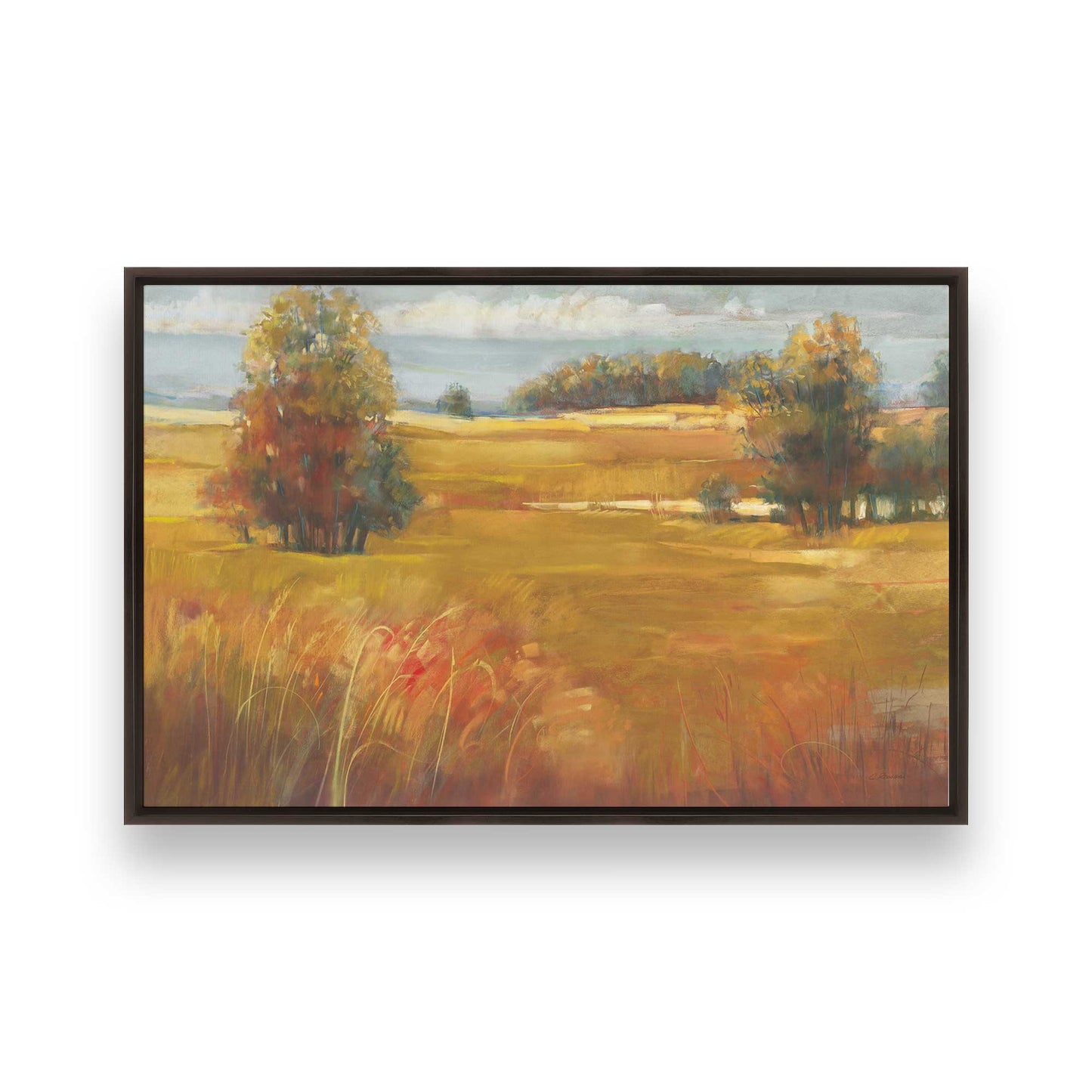 [Color:Espresso], Picture of art in a Espresso frame