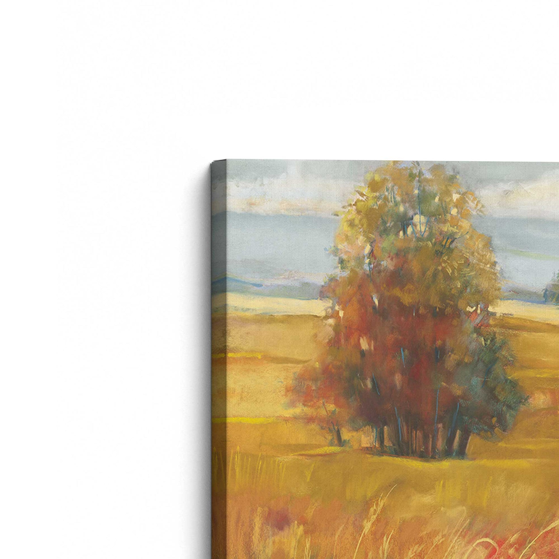 [Color:Stretched Canvas], Picture of the corner of the art