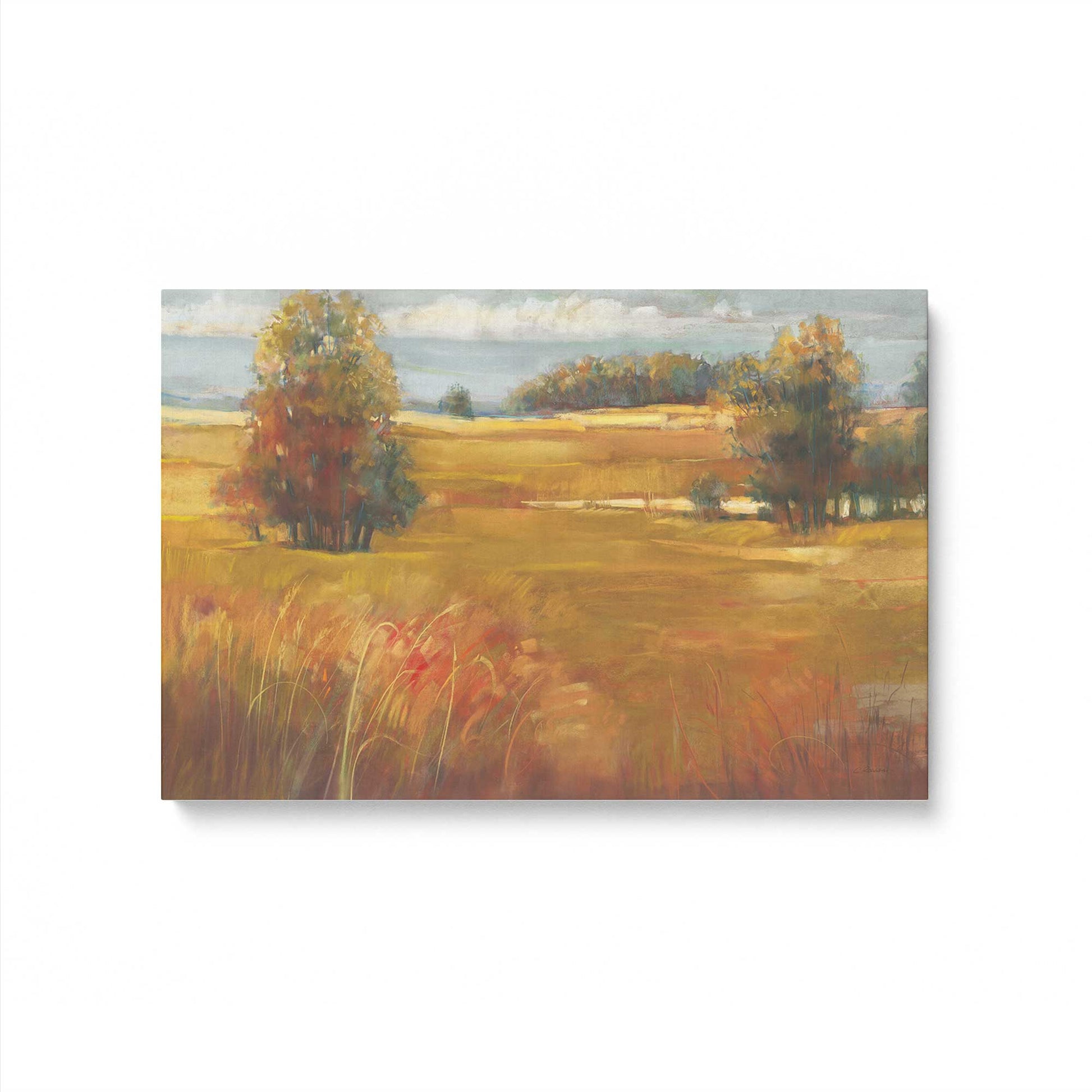 [Color:Stretched Canvas], Picture of art