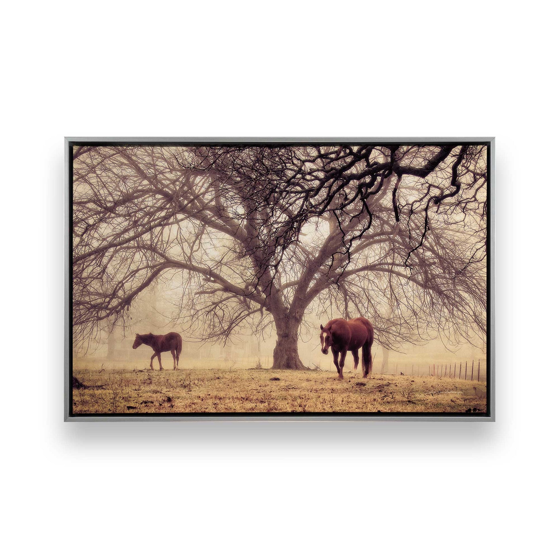 [Color:Polished Chrome], Picture of art in a Polished Chrome frame