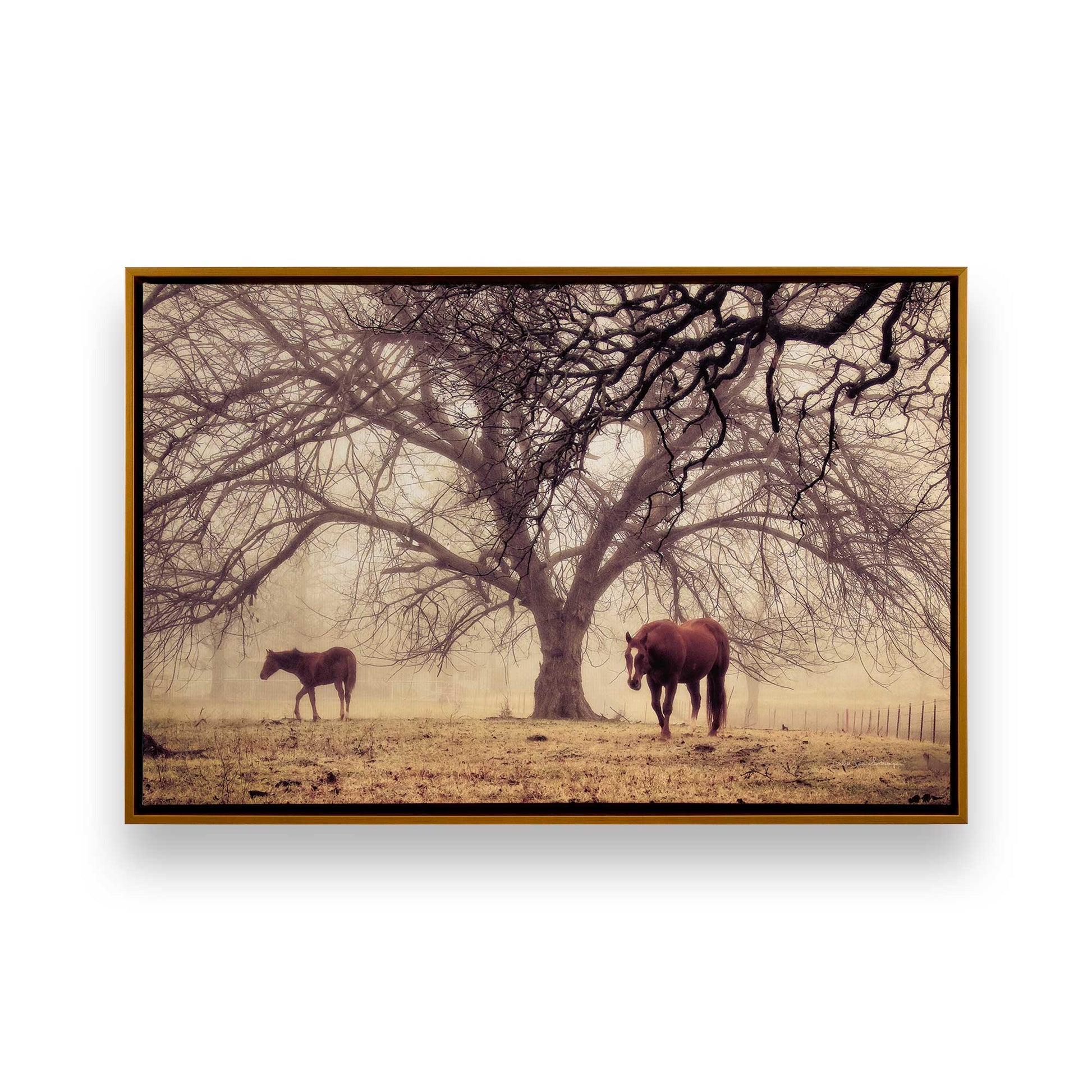 [Color:Polished Gold], Picture of art in a Polished Gold frame