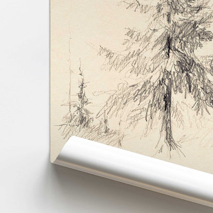 Silent Pines Print