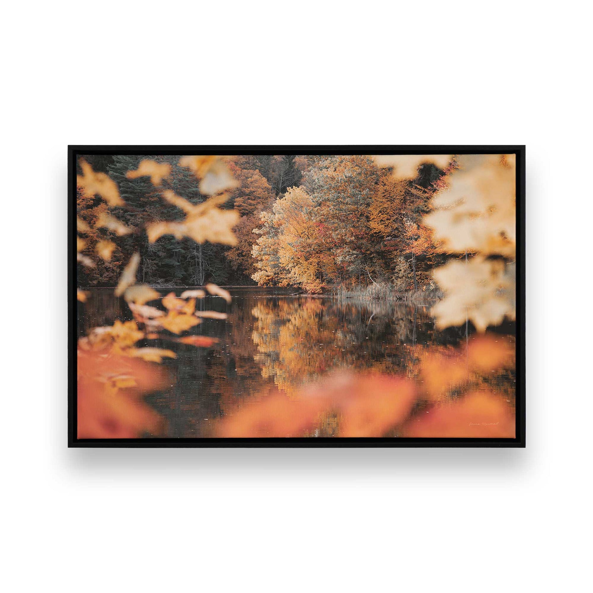 [Color:Satin Black],[SPECIAL], Front image of the art