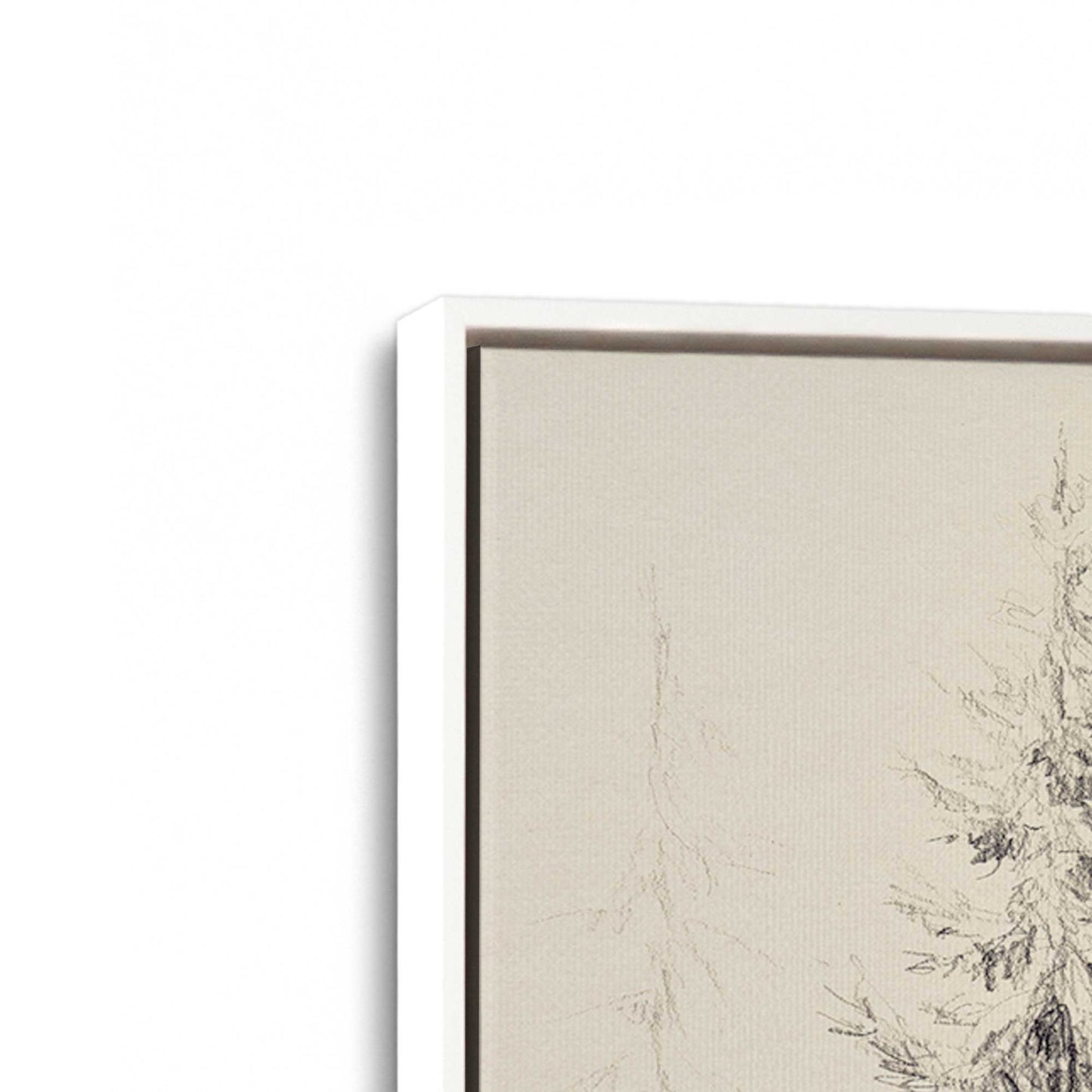 [Color:Opaque White], Picture of art in a White frame at an angle