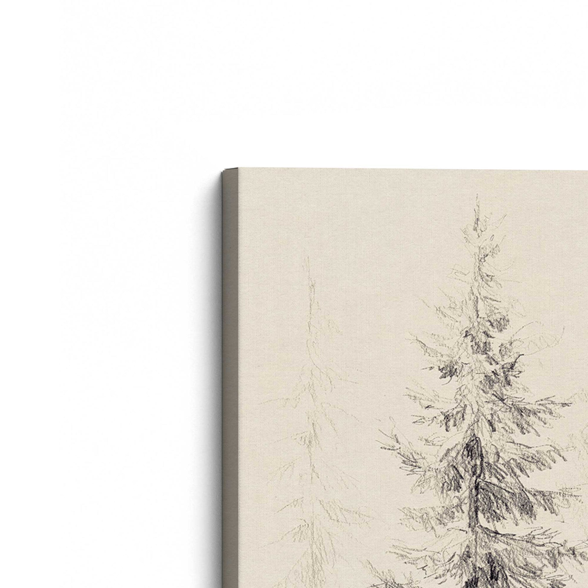 [Color:Stretched Canvas], Picture of the corner of the art