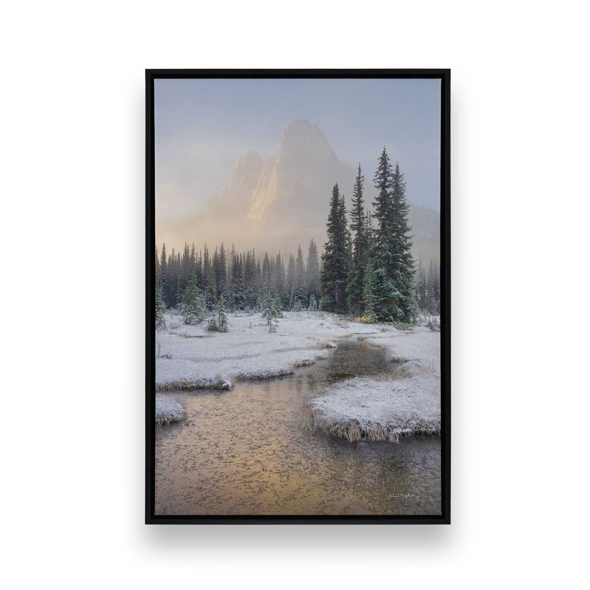 [Color:Satin Black], Picture of art in a Satin Black frame