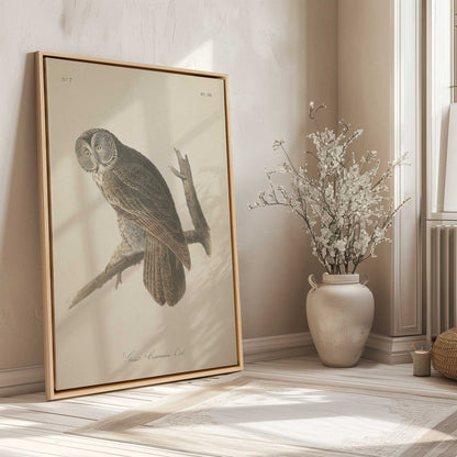 [LIFESTYLE], Picture of art in a room