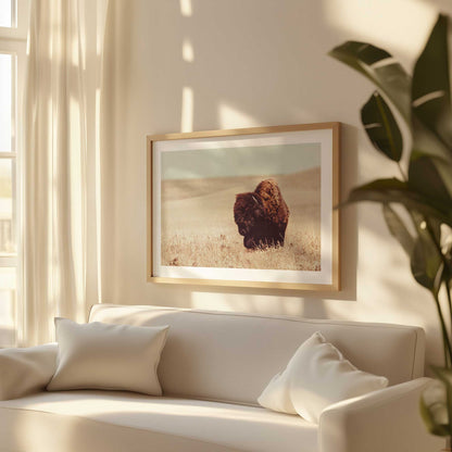 [LIFESTYLE], Picture of art in a room