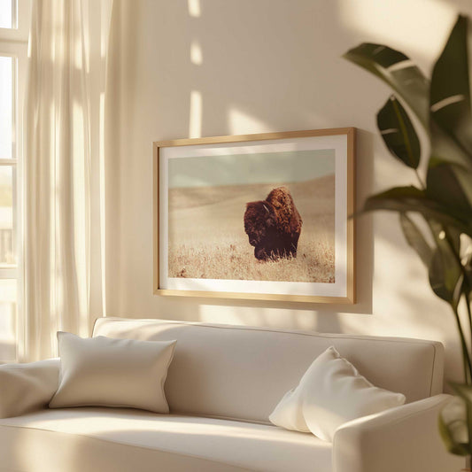 [LIFESTYLE], Picture of art in a room