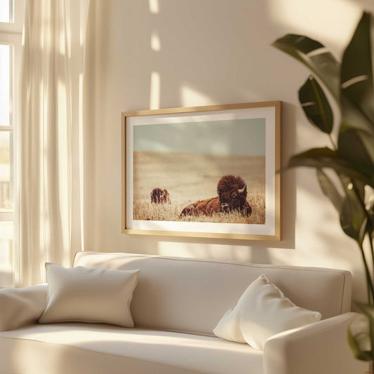 [LIFESTYLE], Picture of art in a room