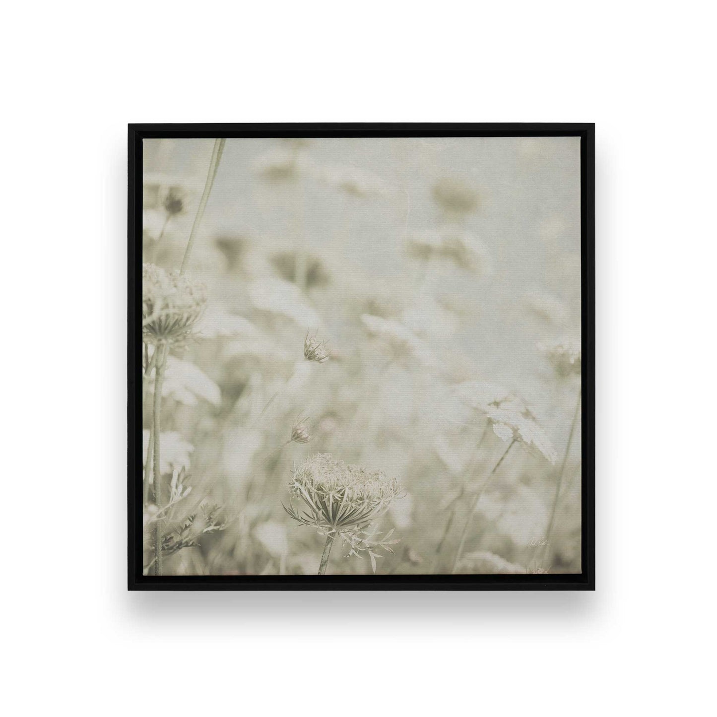 [Color:Satin Black],[SPECIAL], Front image of the art