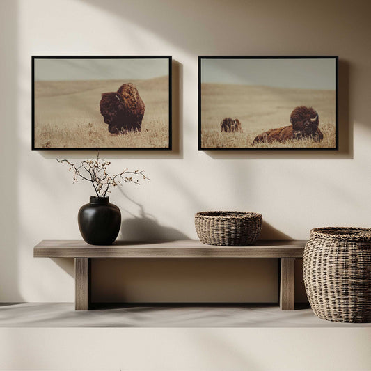 [LIFESTYLE], Picture of art in a room
