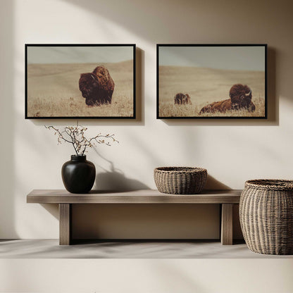 [Color:American Maple], Picture of art in a American Maple frame